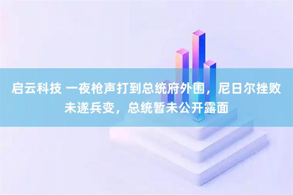启云科技 一夜枪声打到总统府外围，尼日尔挫败未遂兵变，总统暂未公开露面